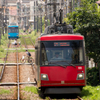夏の電車道