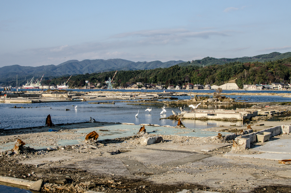 水漬く街