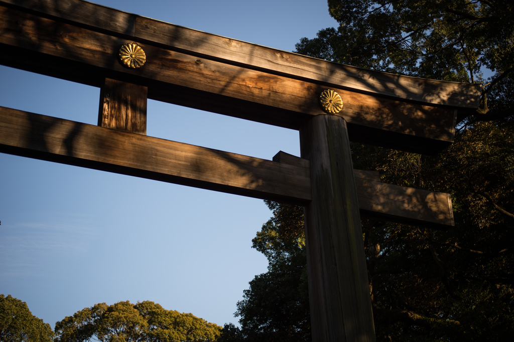 明治神宮にて