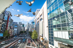 新宿の朝・甲州街道