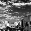 行雲