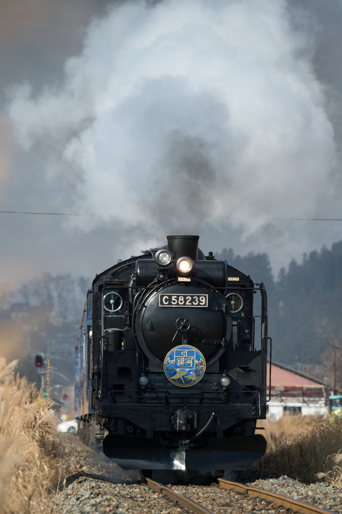 復活・C58239