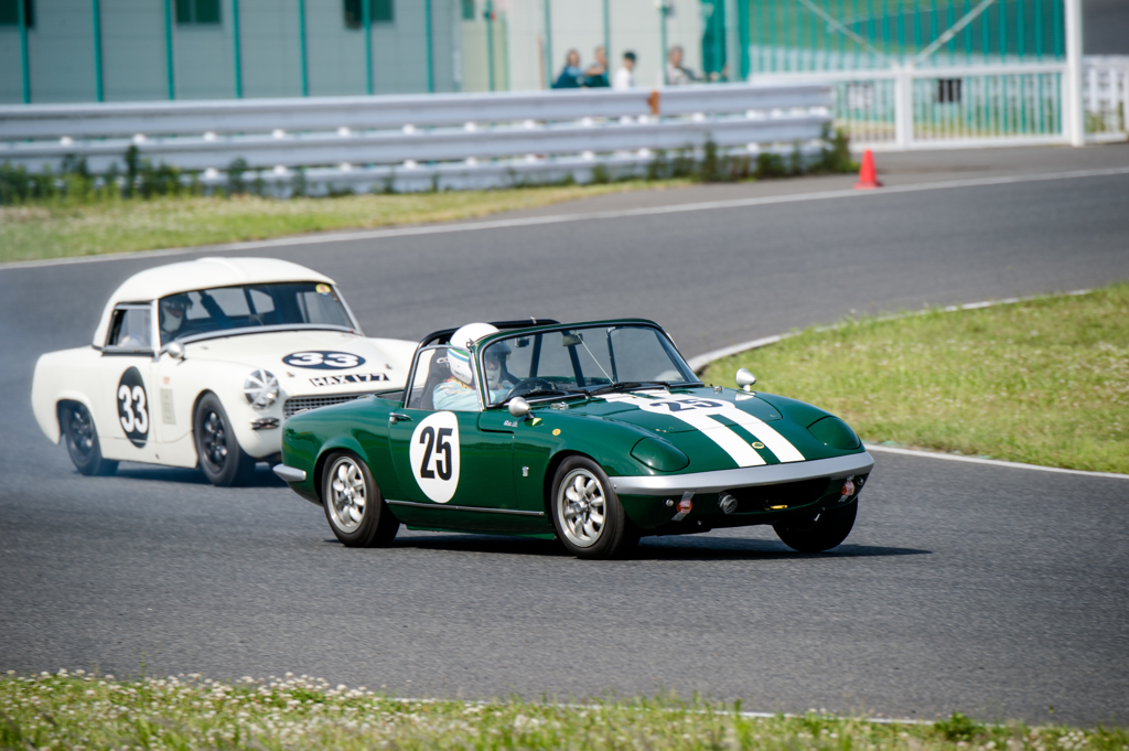 Nose to Tail