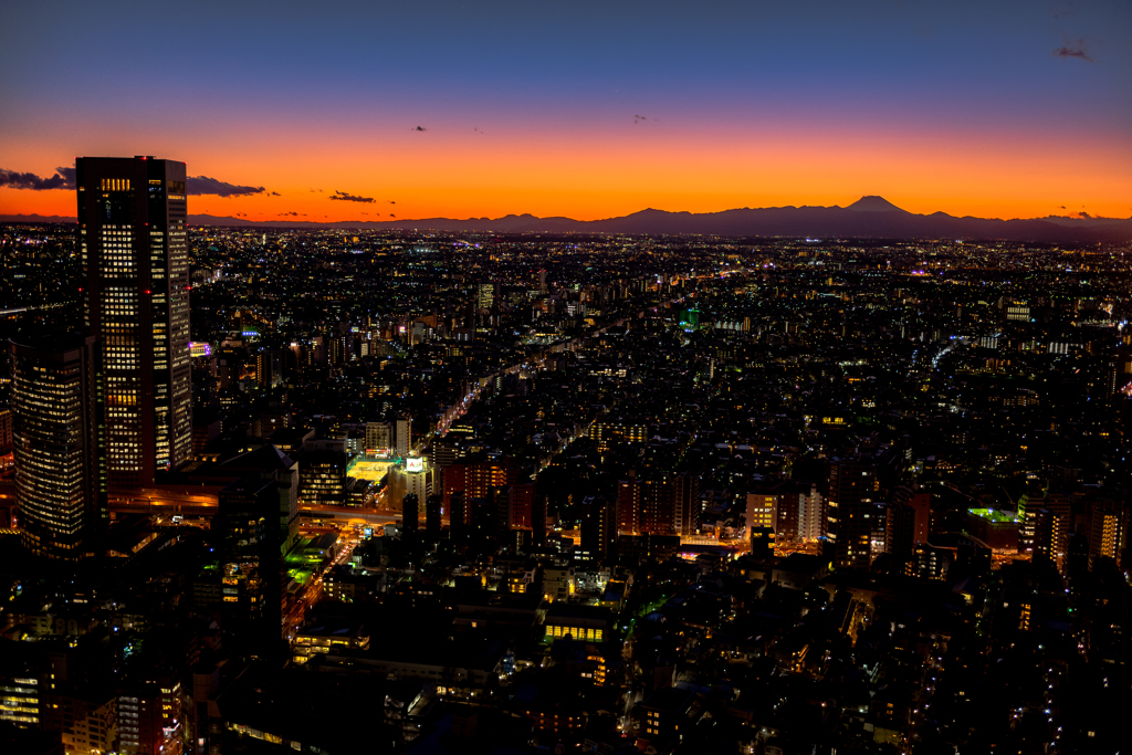 新宿暮色