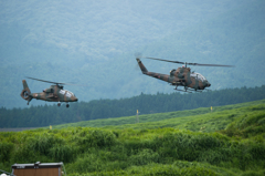 AH-1SコブラとOH-1