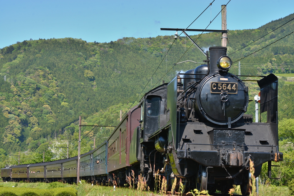 大井川鐵道C56