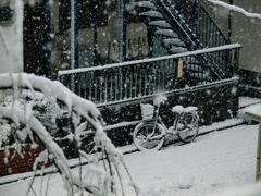 先日、東京に雪が降りましたね