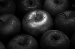 IMG_9563