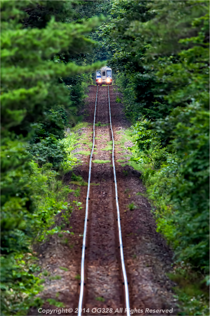 三陸鉄道、夏。