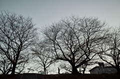 SDIM000320101201
