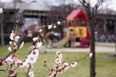 公園