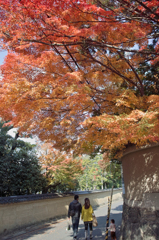 紅葉の東福寺