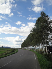 ケンメリの木の隣