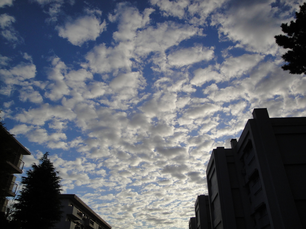 そらとくも