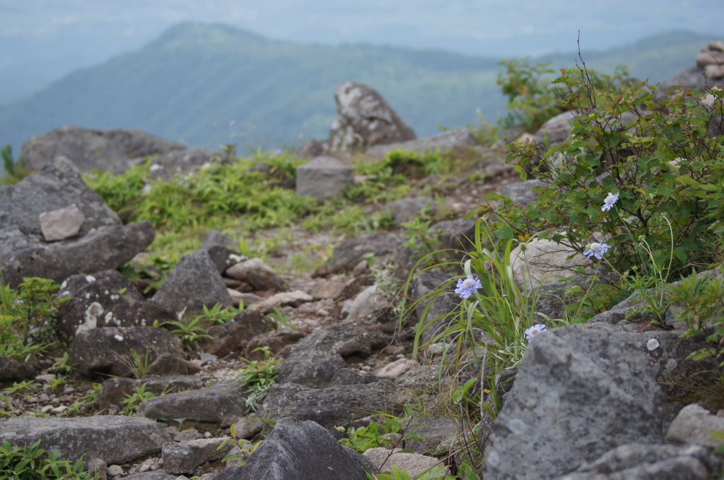 車山山頂