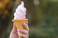 バラソフトクリーム