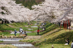 それぞれの楽しみ方
