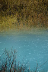 青沼
