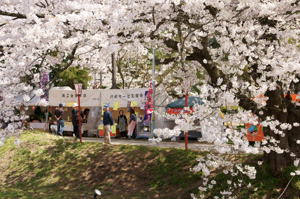 来年もまた来れますように