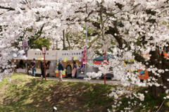 来年もまた来れますように