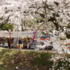 来年もまた来れますように