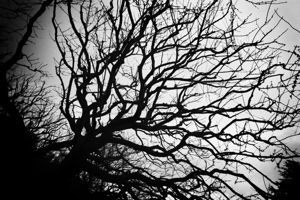 DSC04452_R