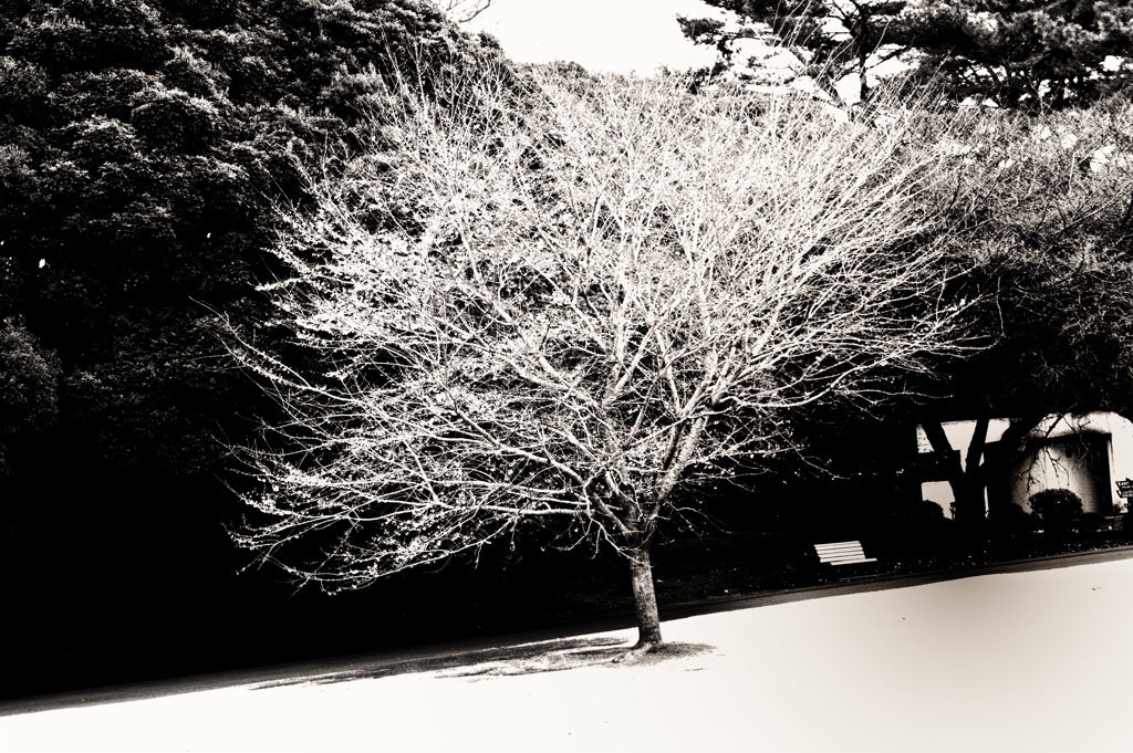 DSC04480_R