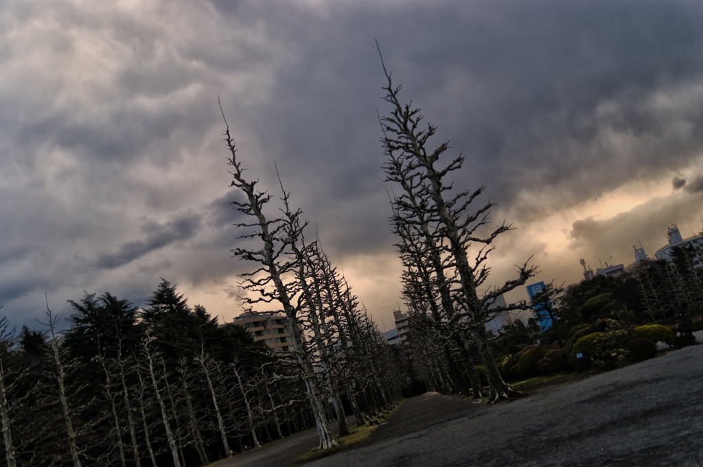 DSC04481_R
