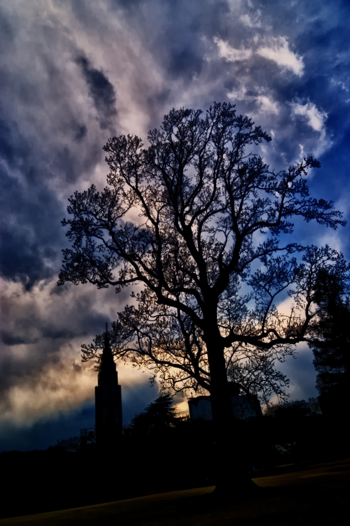 DSC04512_R