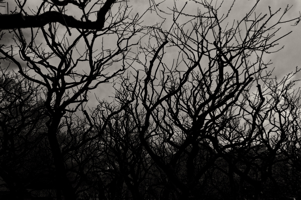 DSC04451_R