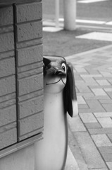 尾行中？