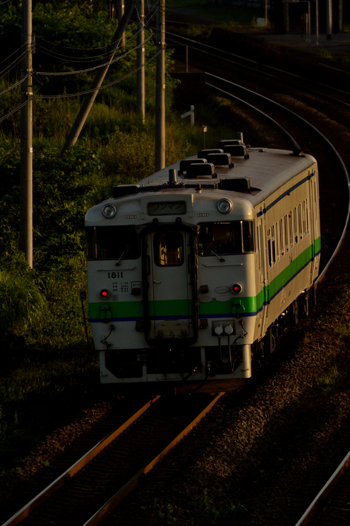 夕日に照らされて