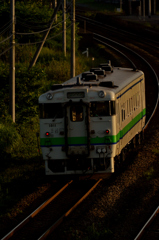 夕日に照らされて