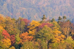 秋山