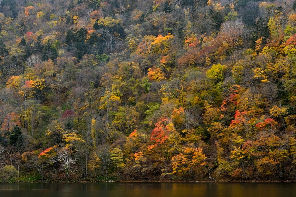 紅葉の豊似湖