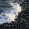 splash