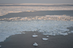 朝日を浴びる流氷