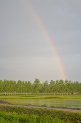 長沼の虹