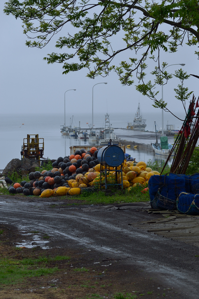 小さな漁港の朝、雨上がり