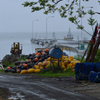 小さな漁港の朝、雨上がり
