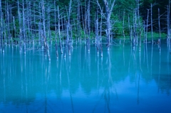 青の池イメージ