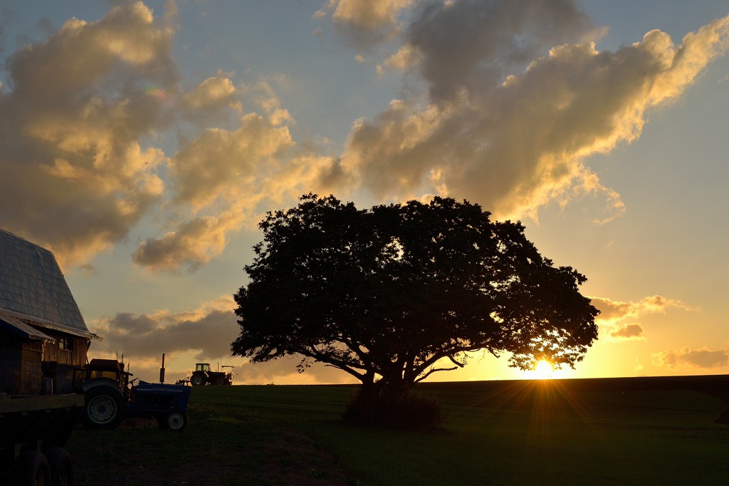 落ちる夕日