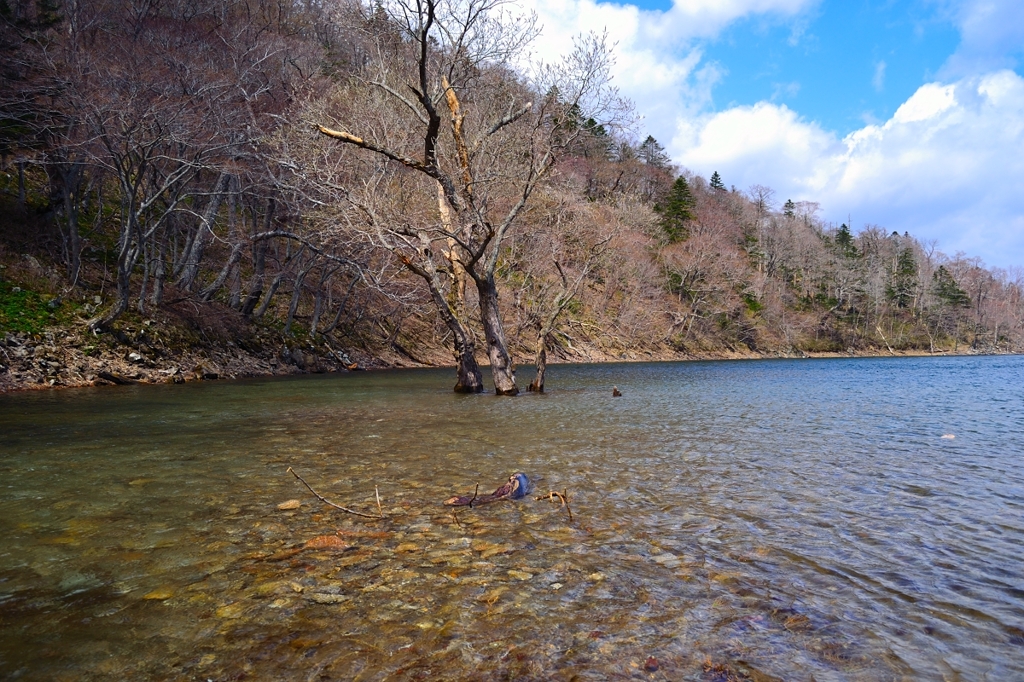 豊似湖