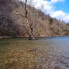 豊似湖