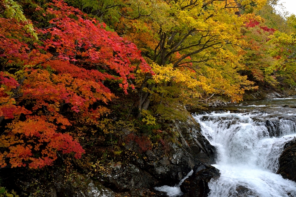 紅葉の三段滝