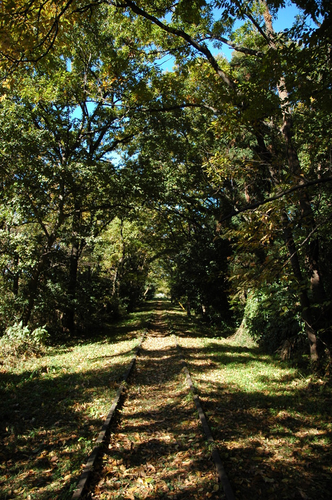 DSC_01507 (28)