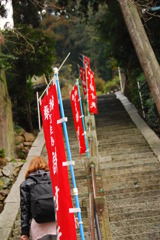DSC_0001a (219)