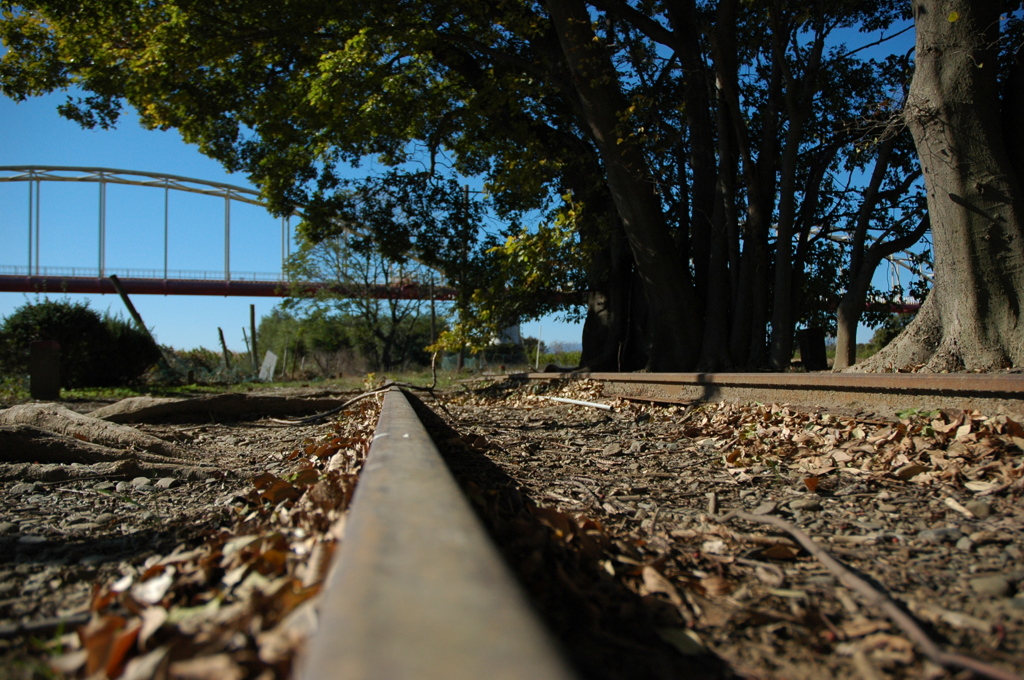 DSC_01507 (140)