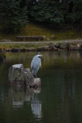 DSC_0001a (433)