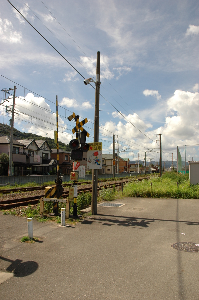 DSC_10044 (36)